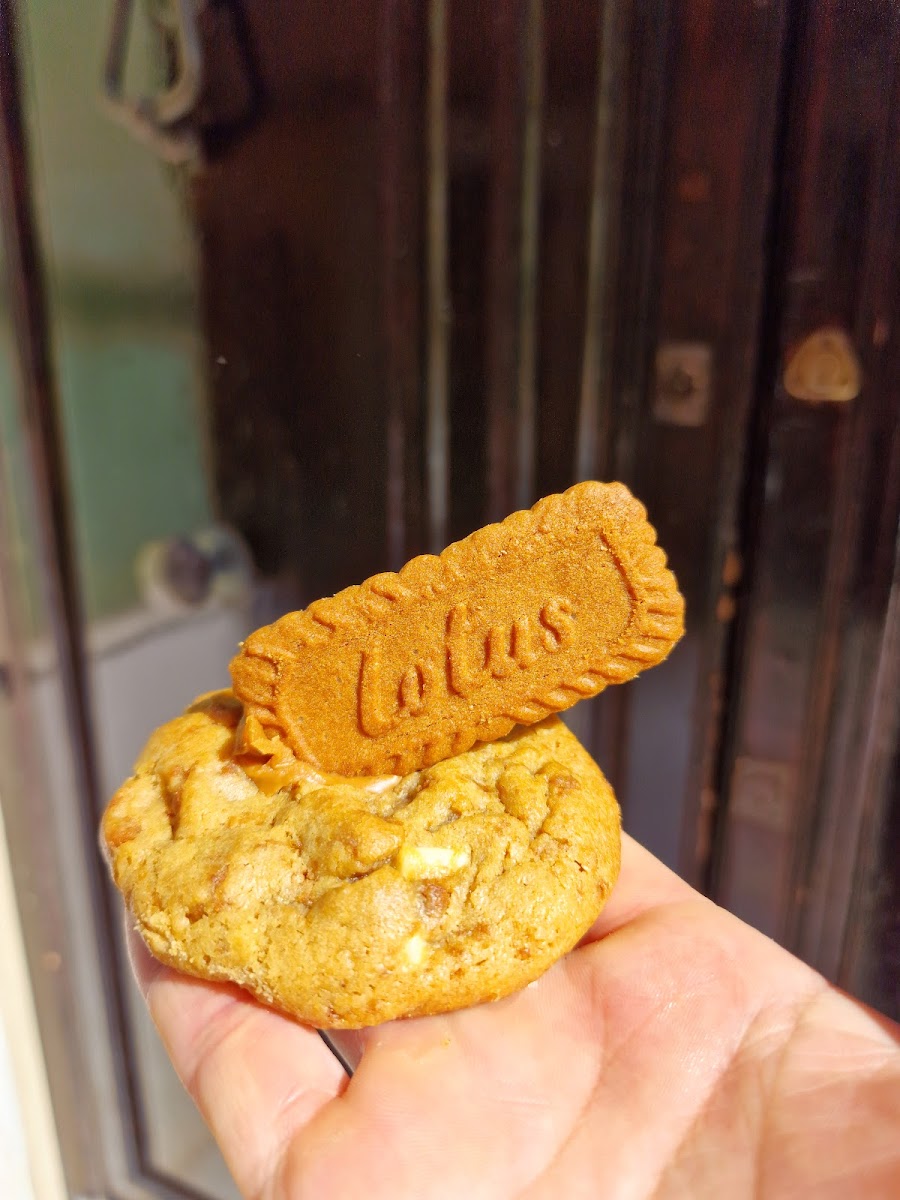 Cookie York Photo 6