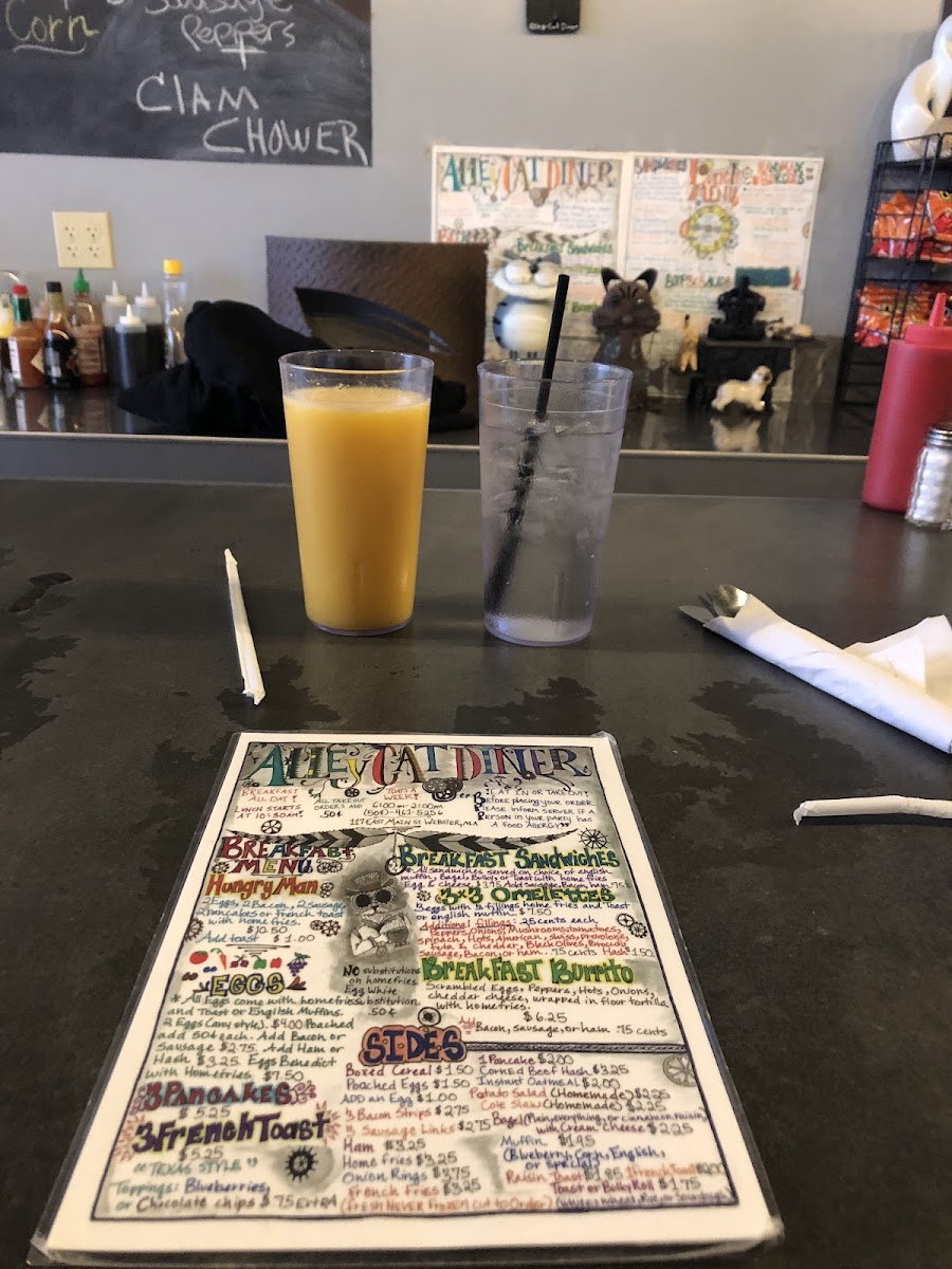 Alley Cat Diner Photo 7