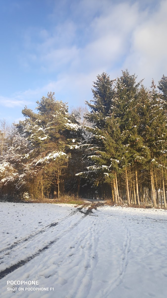 Gasthaus Mirbeth Photo 4