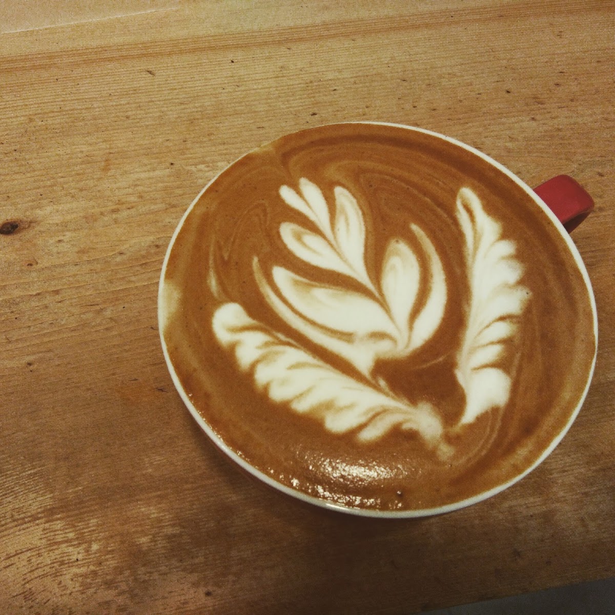 Cafe I'm Here Photo 5