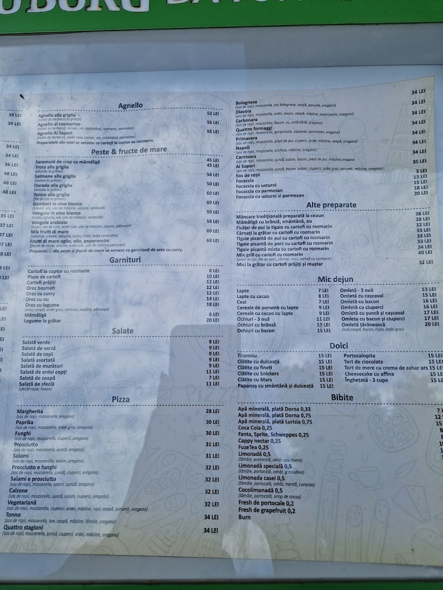 Ai Sapori Photo Menu 4