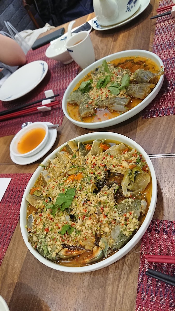 Chan Yee Hing Photo 10