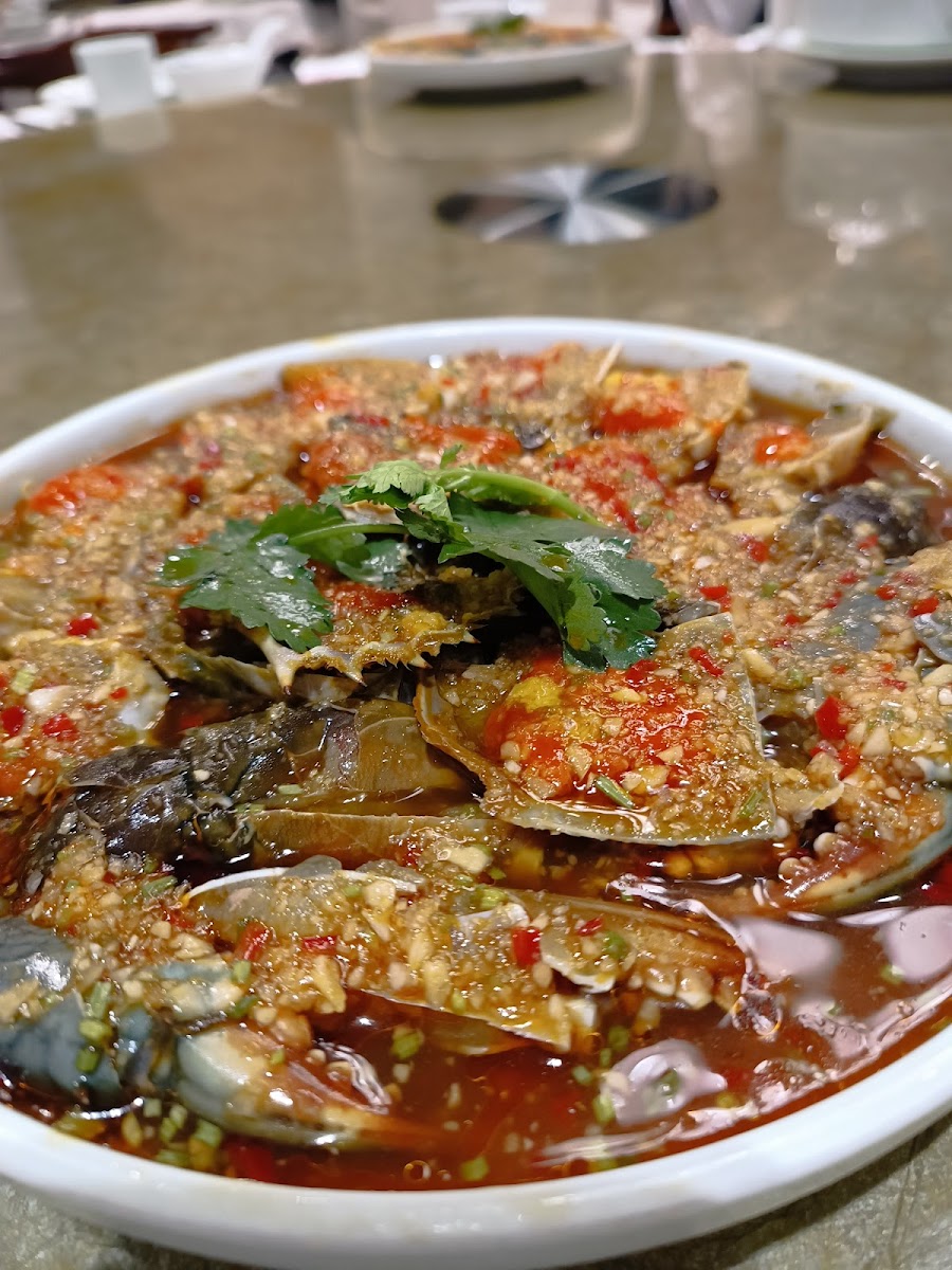 Chan Yee Hing Photo 6