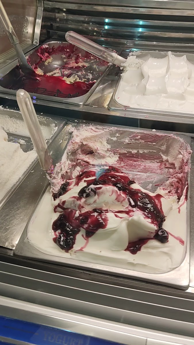 Gelateria Rosellini Photo 2