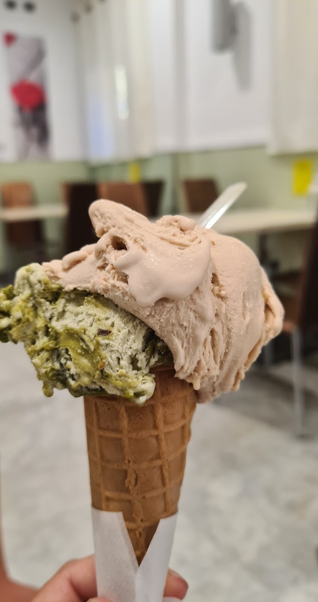 Gelateria Rosellini Photo 5