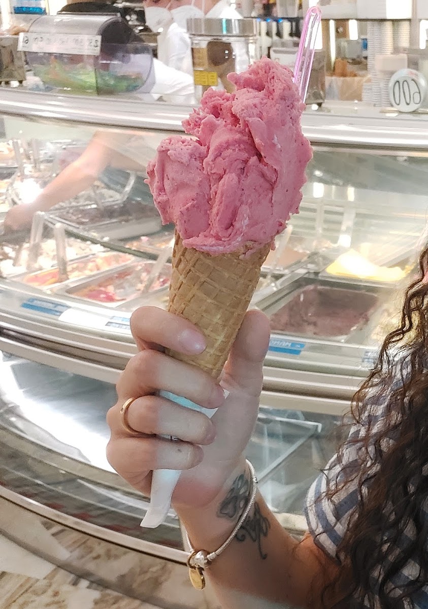 Gelateria Rosellini Photo 8