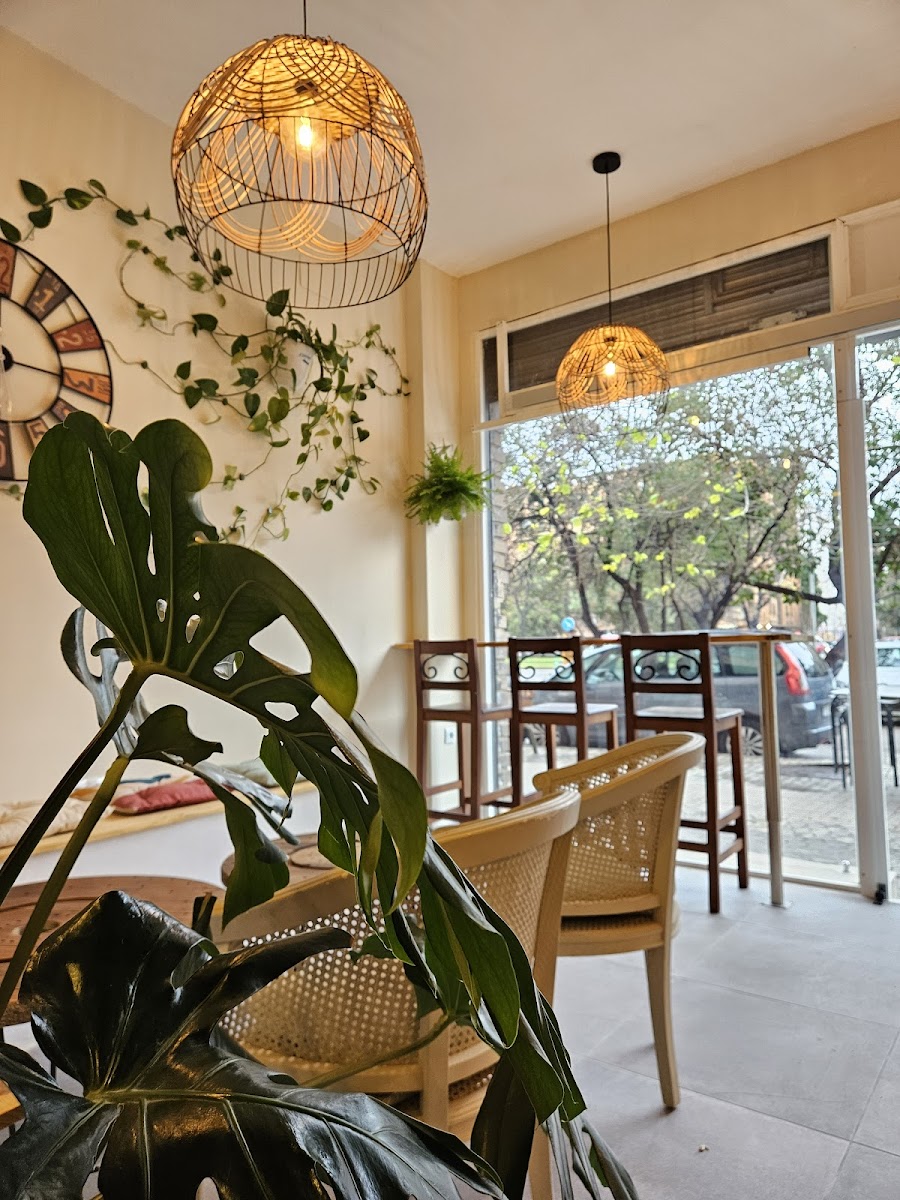 Fronda café