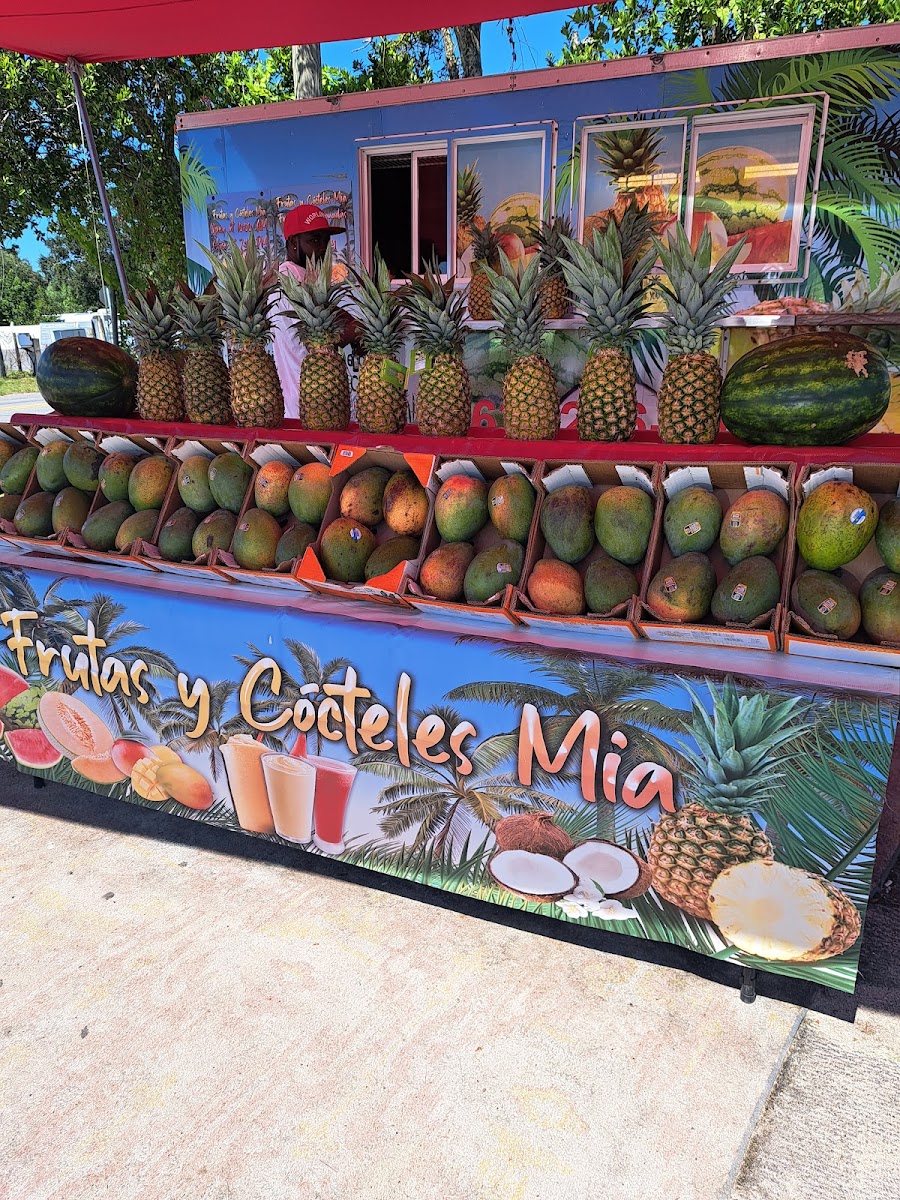 Smoothie Stand