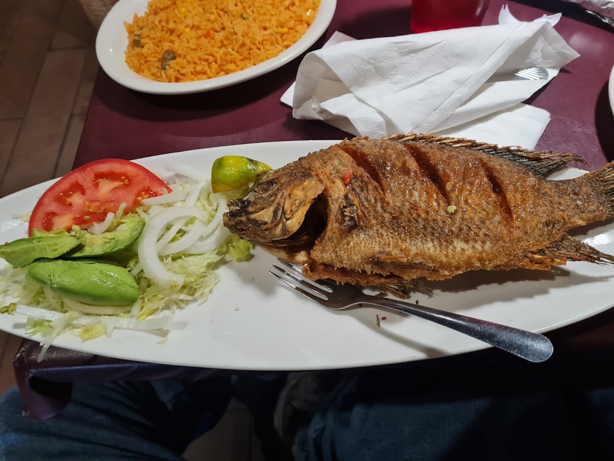 El Mezcal Mexican Grill Photo 8