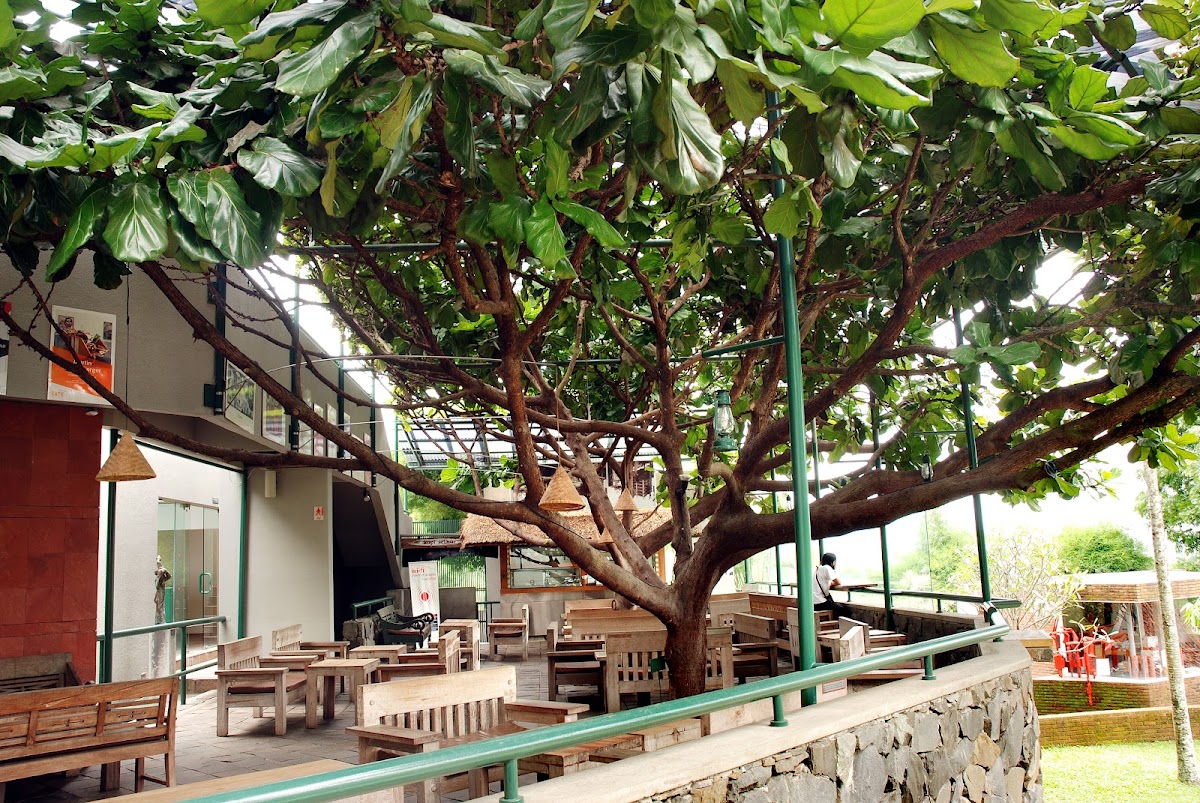 Kopi Selasar Sunaryo Photo 4