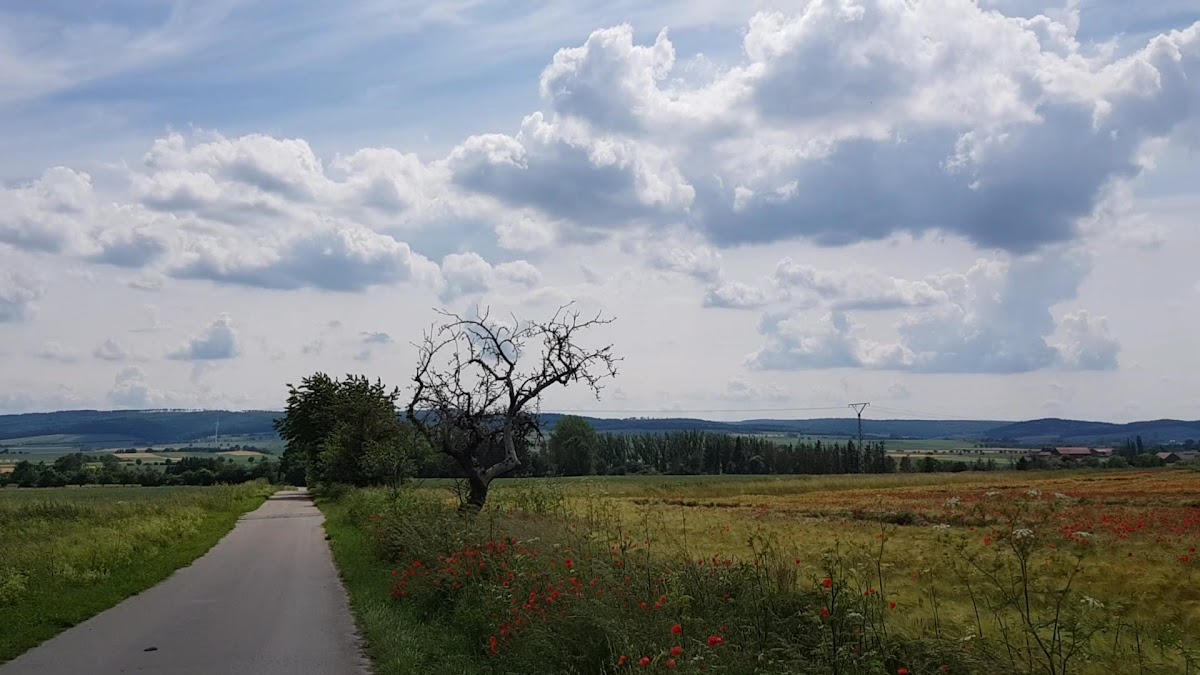 Landgasthaus Zum Klapperturm Photo 3