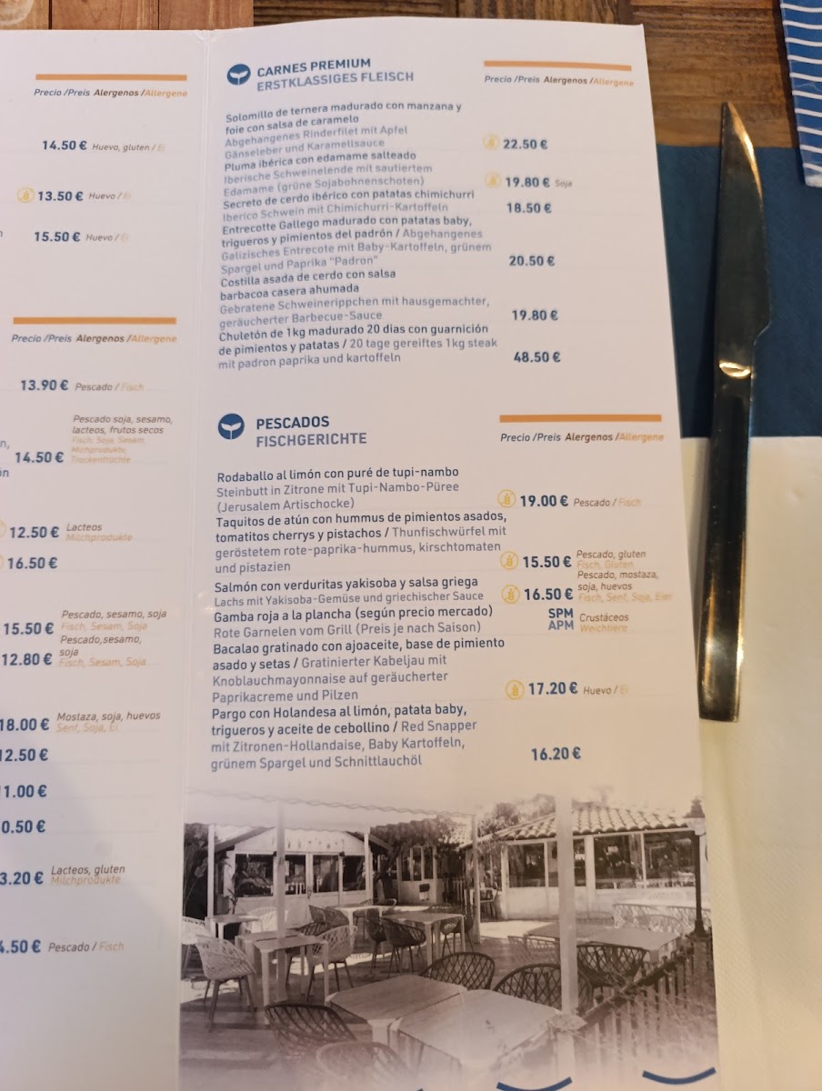 Blue House Restaurant (solo clientes bravo playa) Photo Menu 4