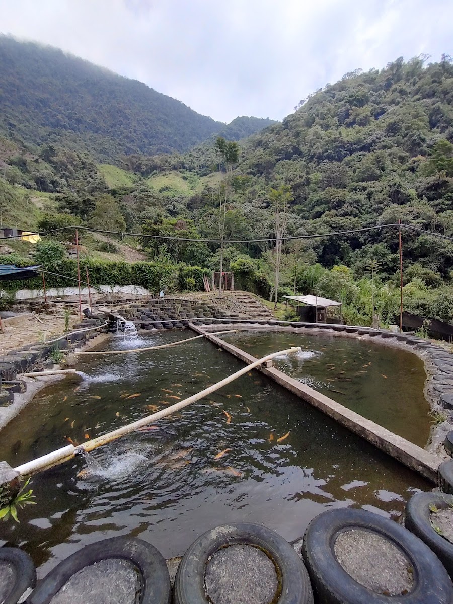 truchera la chorrera Photo 2