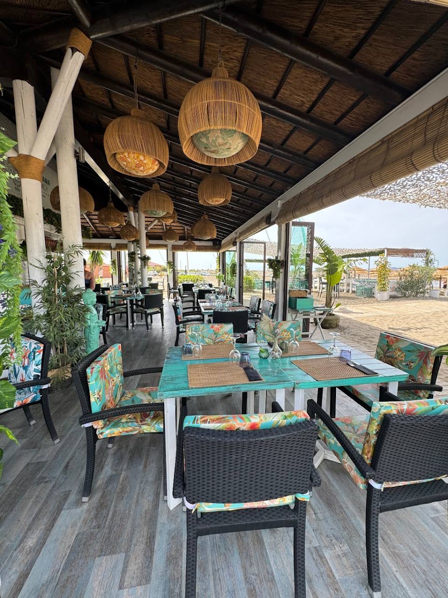 Havana Beach Bar