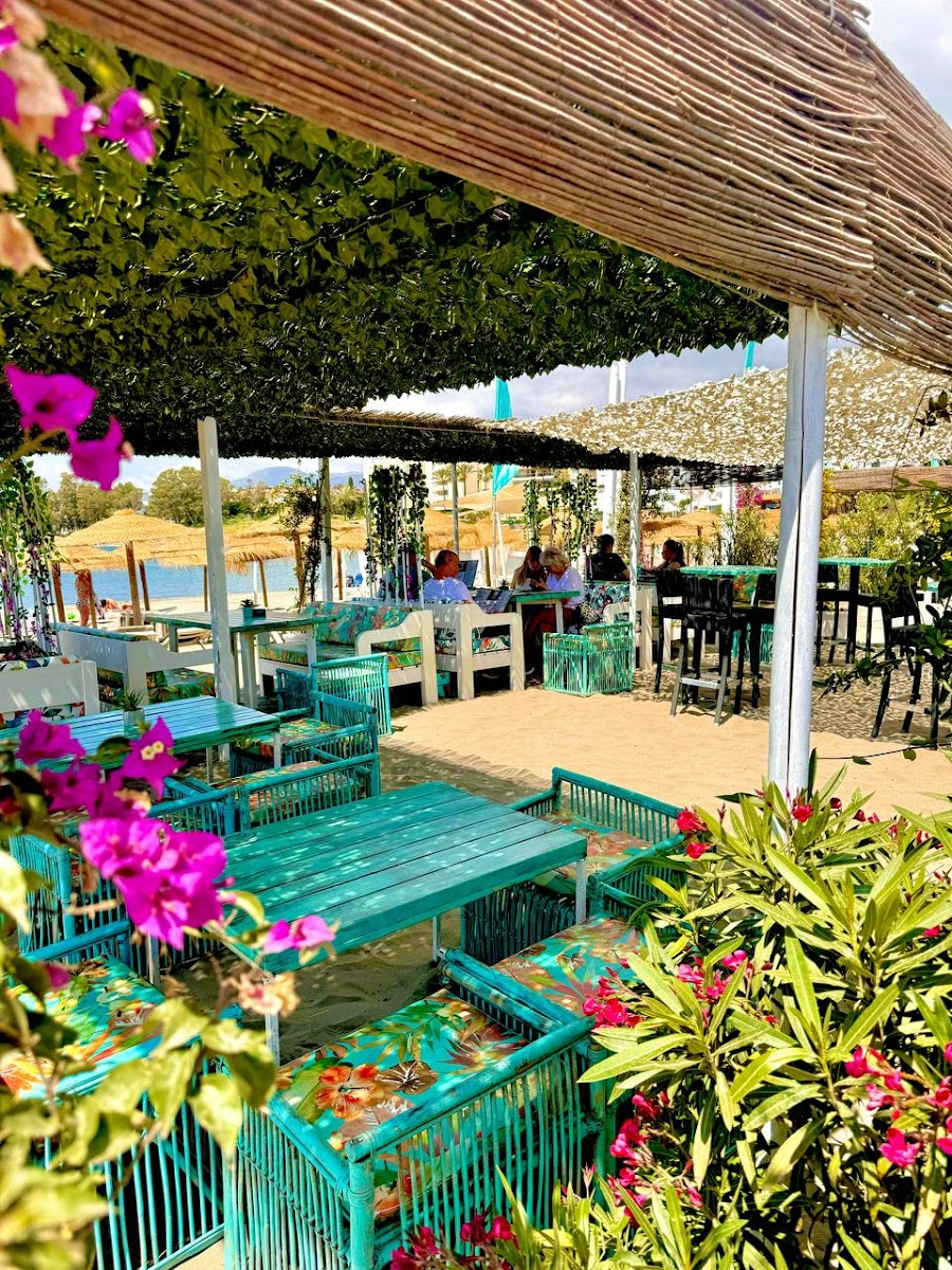 Havana Beach Bar Photo 4