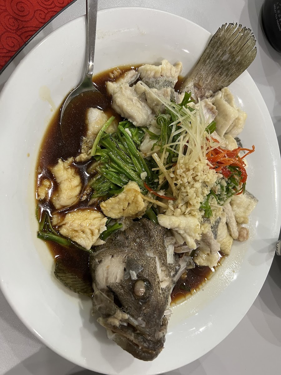 Song Jia Bao Restaurant • 松家堡 Photo 5