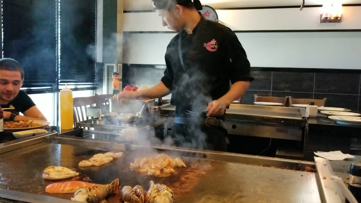 Sakura Japanese Steakhouse Photo 2