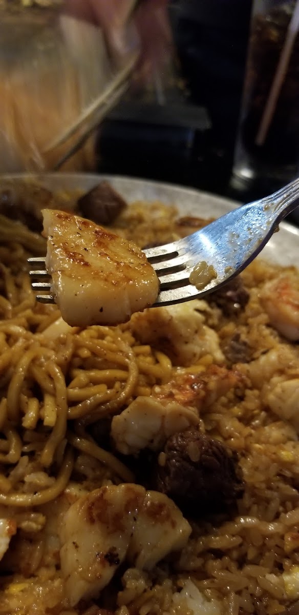 Sakura Japanese Steakhouse Photo 6