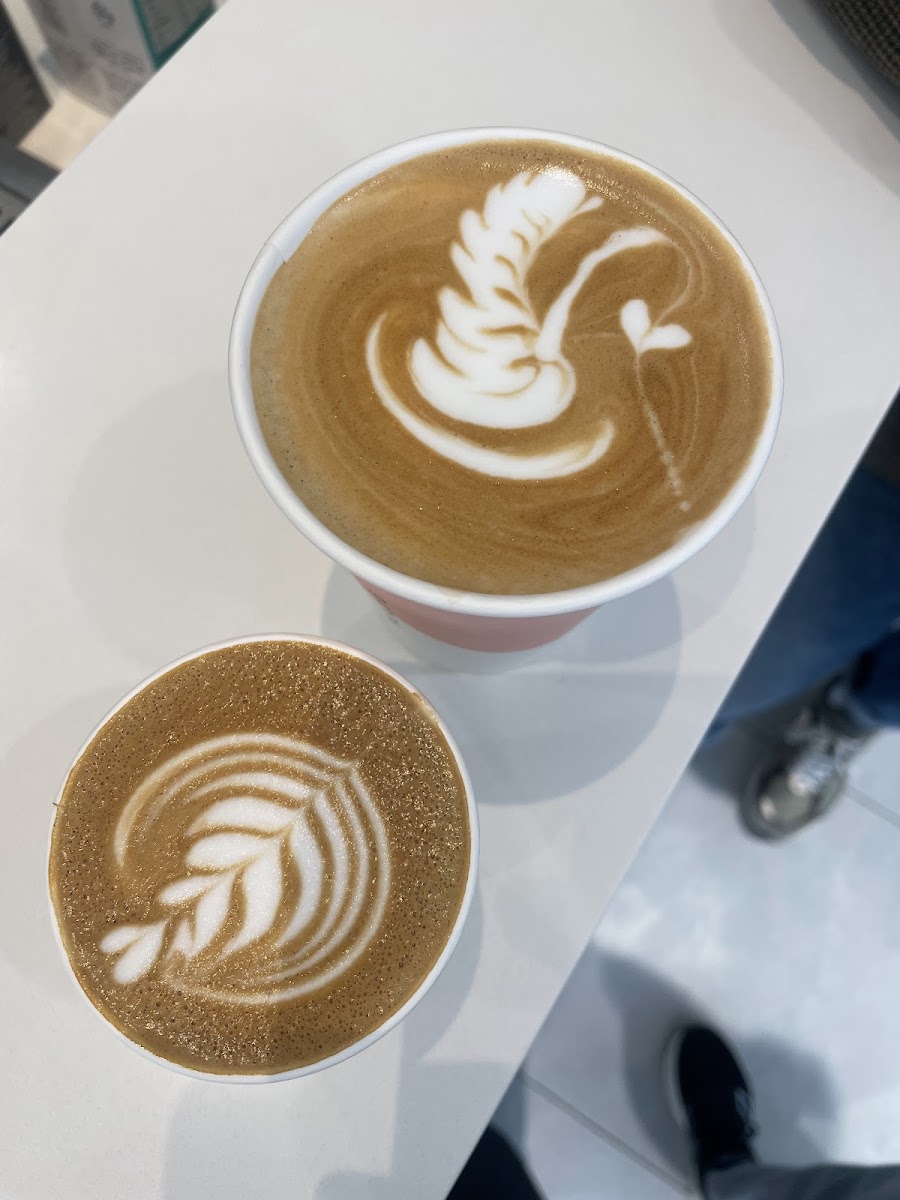 Platō Coffee - Bryanston Photo 5