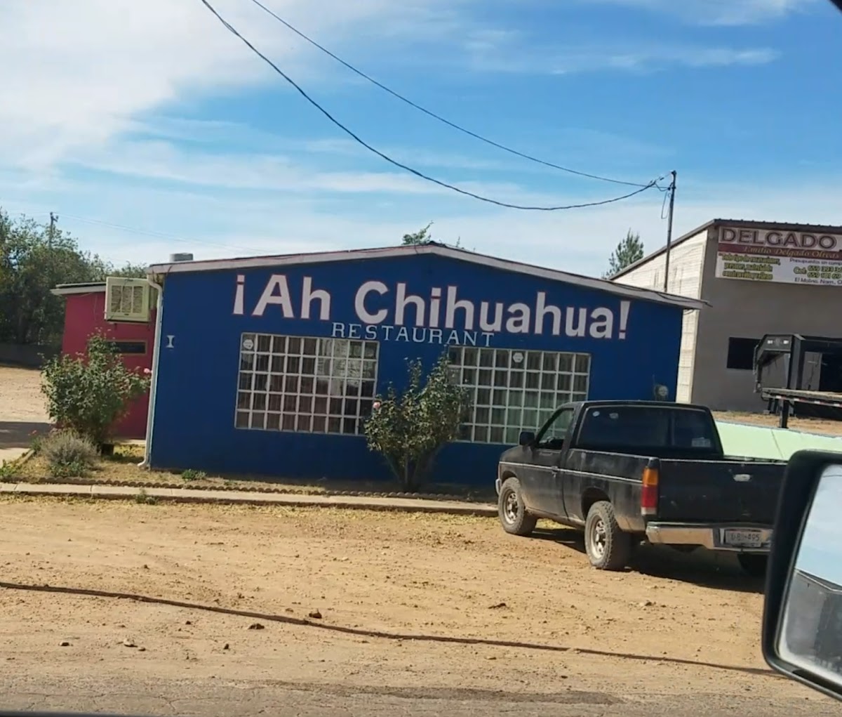 Ah chihuahua