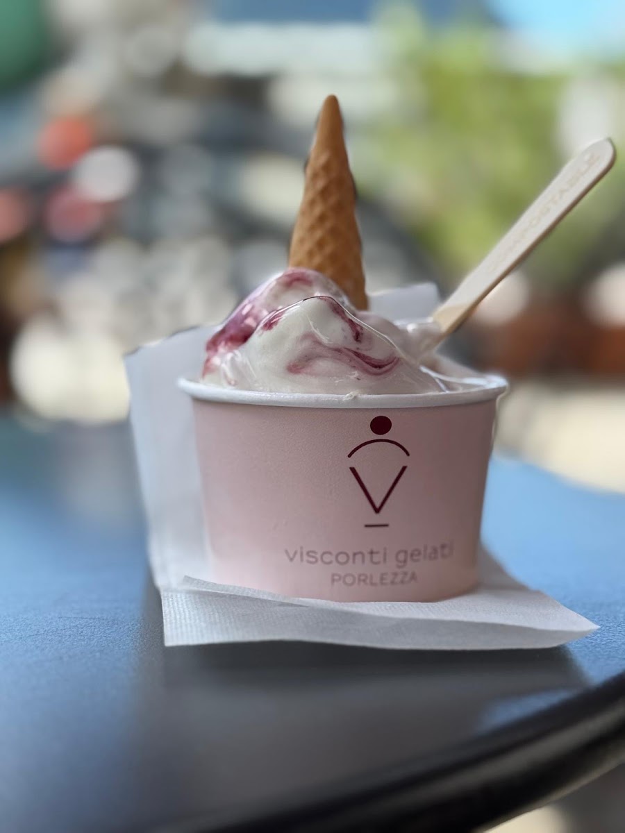 Gelati Visconti Photo 2
