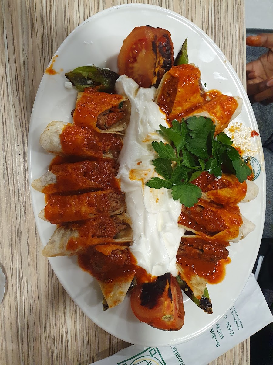 Urfa Saray Photo 8