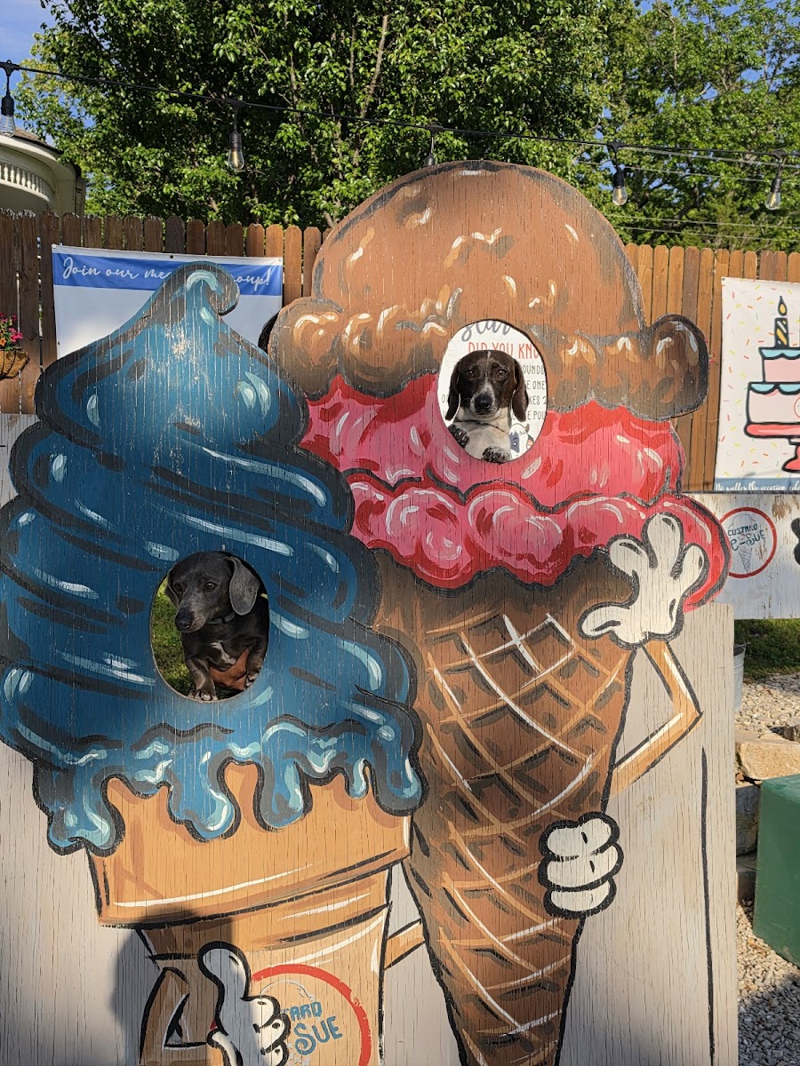 Custard by C-Sue- SALEM! Photo 9