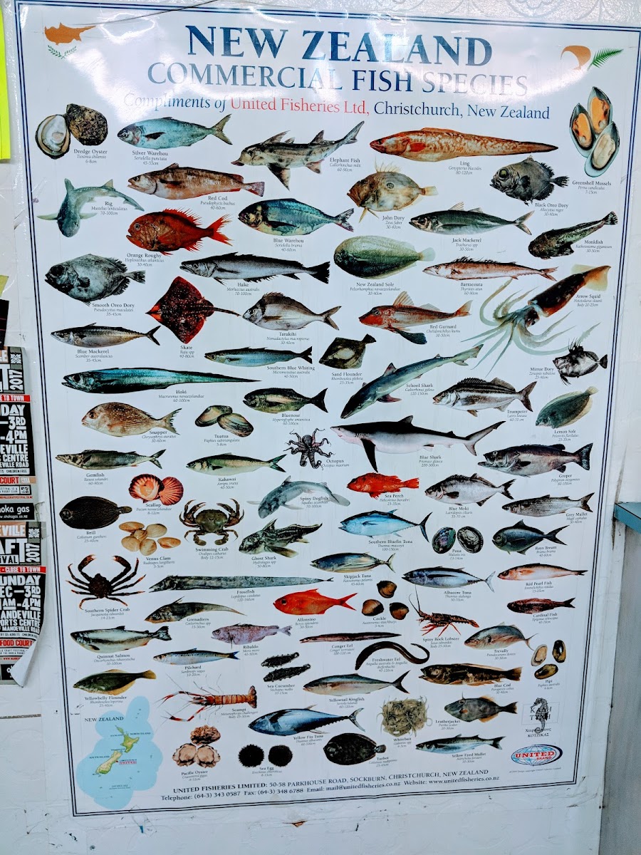 Huntsbury Seafoods Photo Menu 7