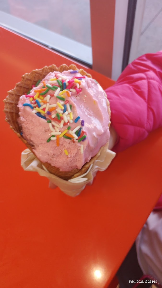 Klee's Ice Cream & Dessert Photo 10