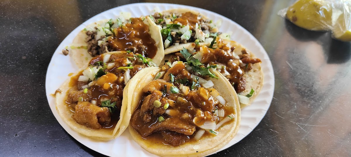 Taqueria Tamazulena Photo 2