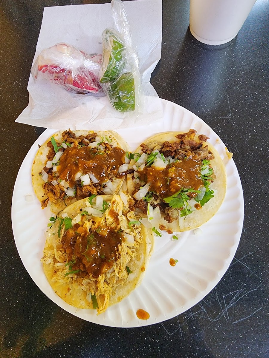 Taqueria Tamazulena Photo 5