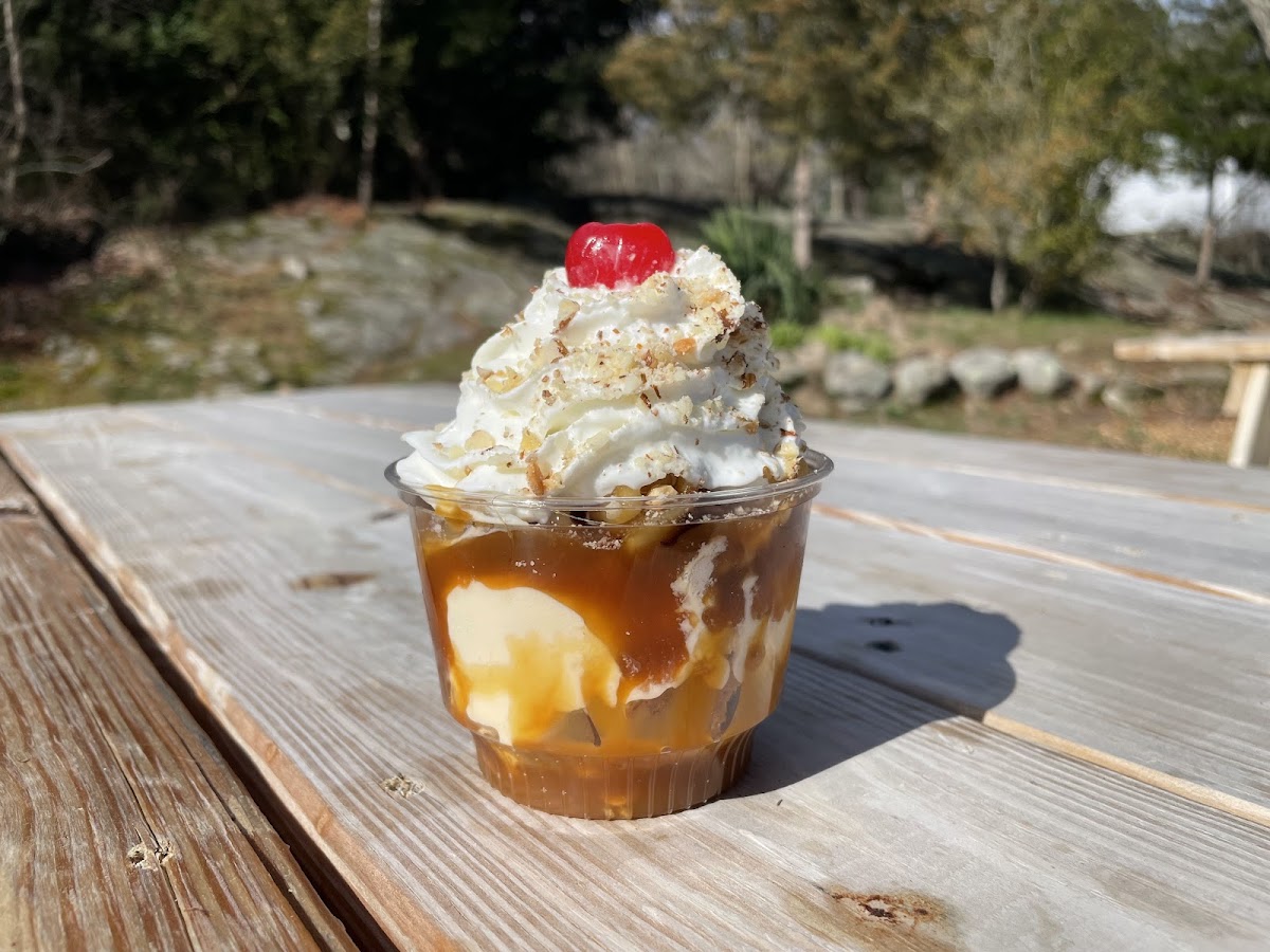 Lickety Splits Ice Cream Shop Photo 4