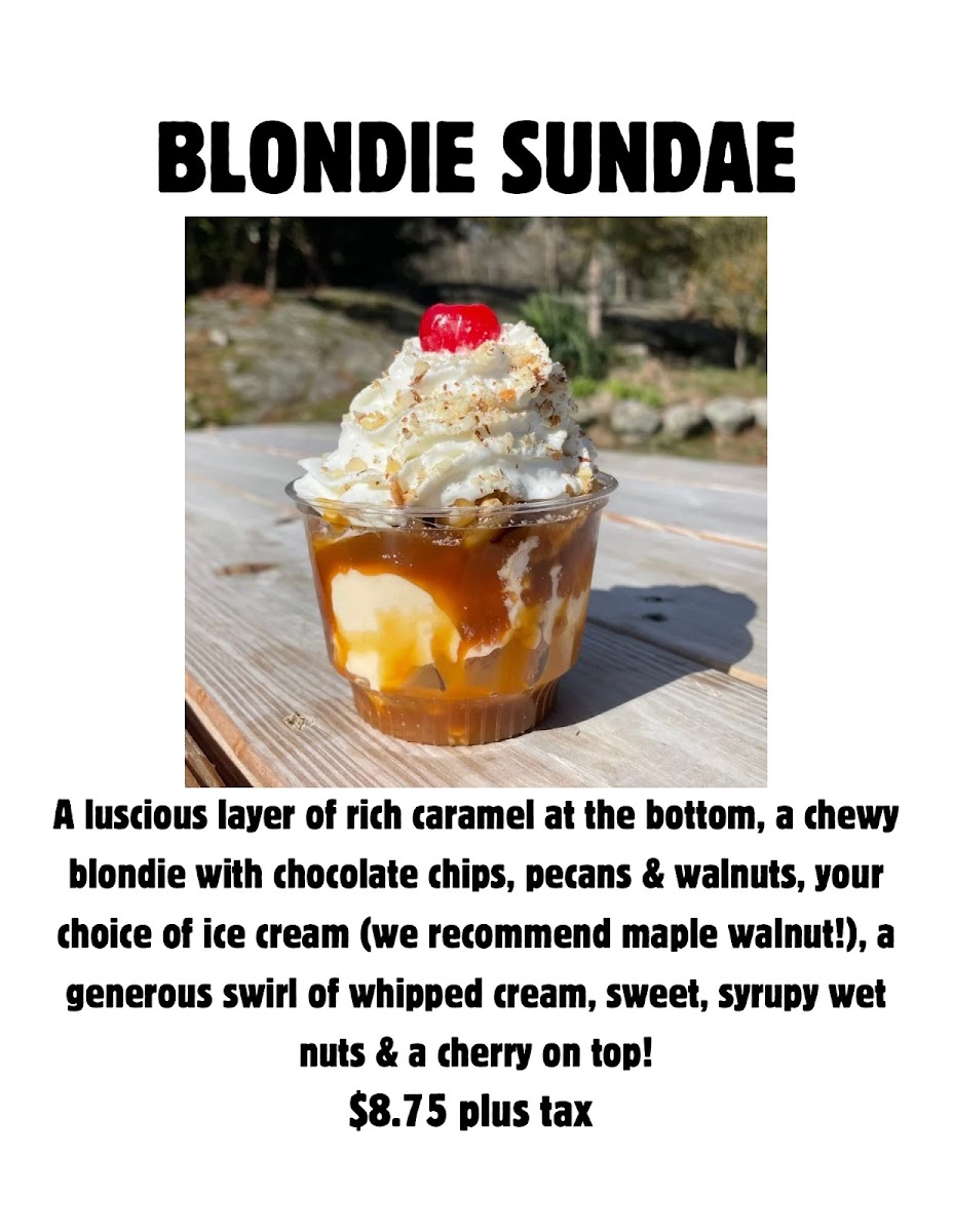 Lickety Splits Ice Cream Shop Photo Menu 10