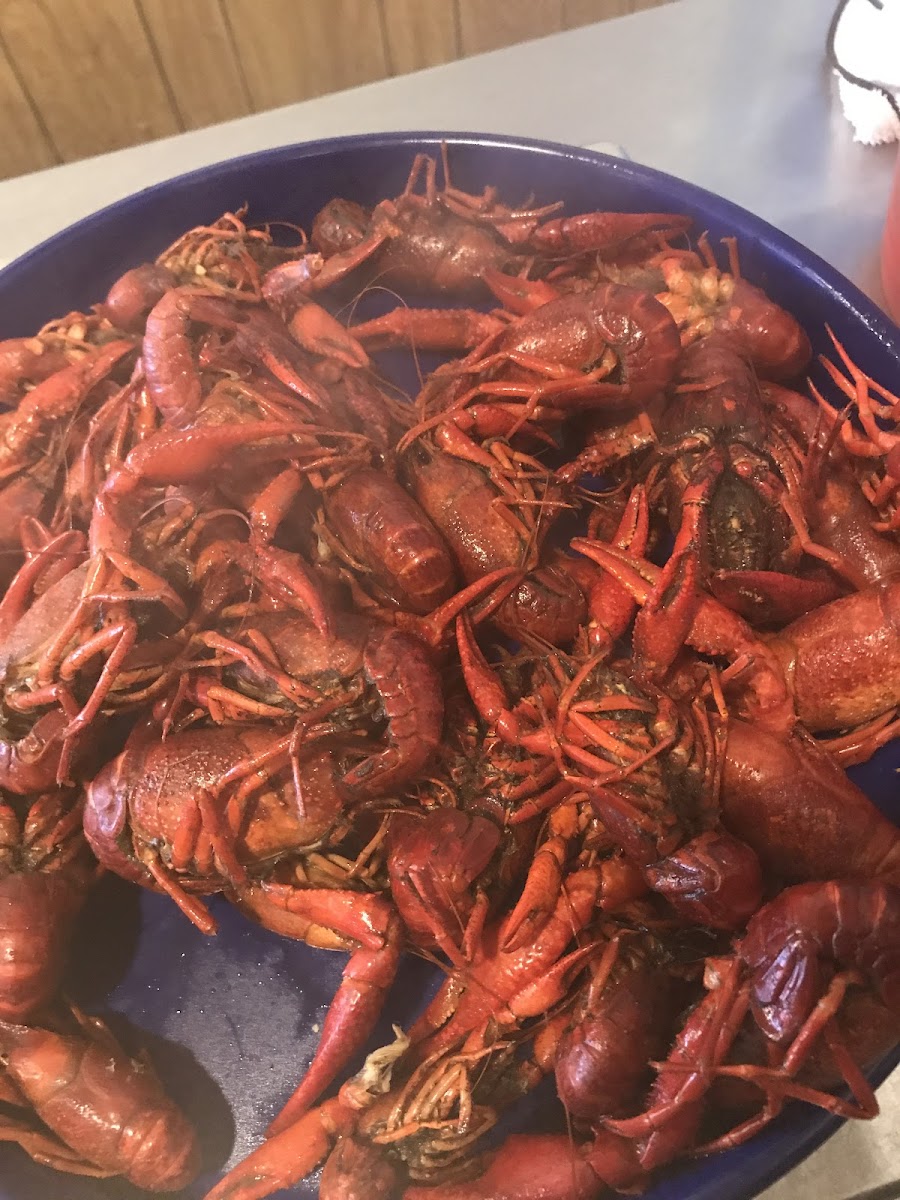 Kim’s Seafood & Po-Boy Bossier Photo 3