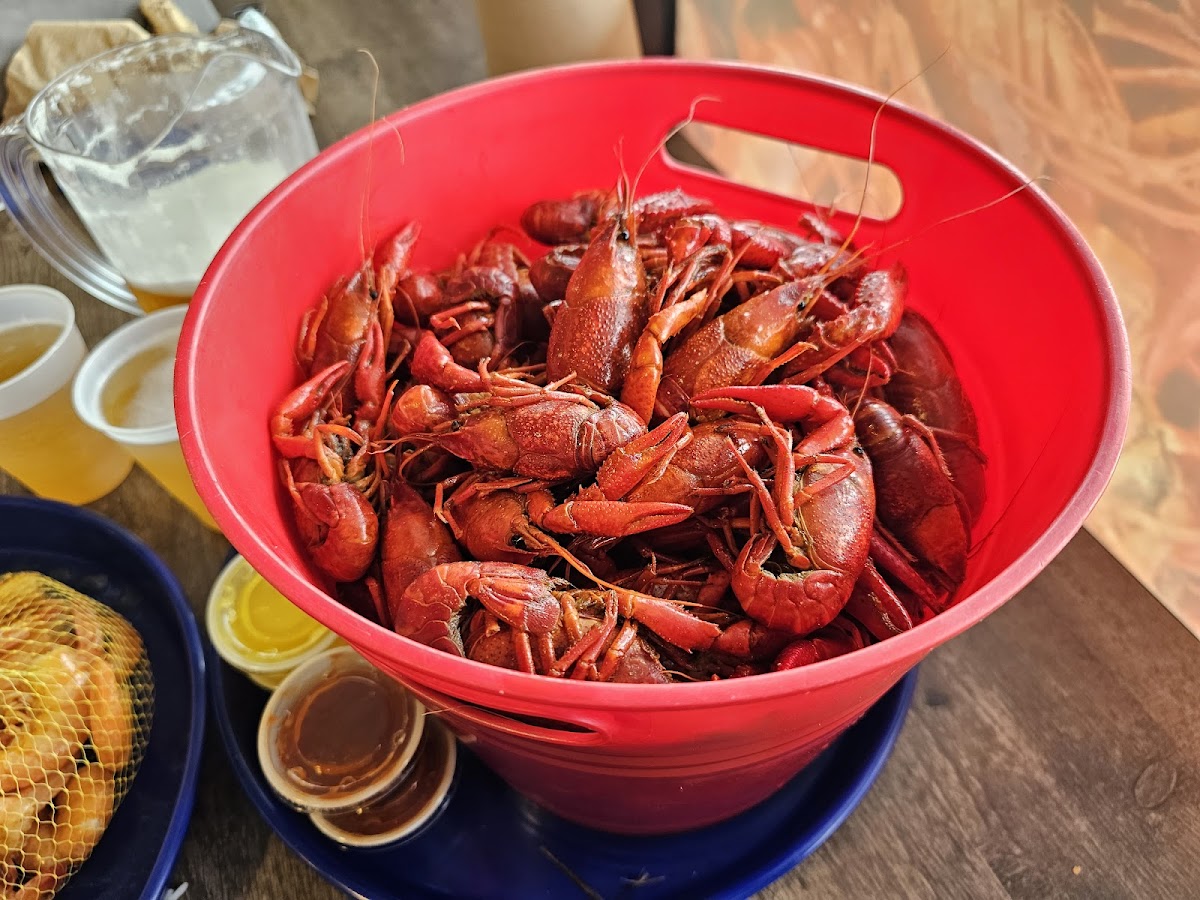 Kim’s Seafood & Po-Boy Bossier Photo 5