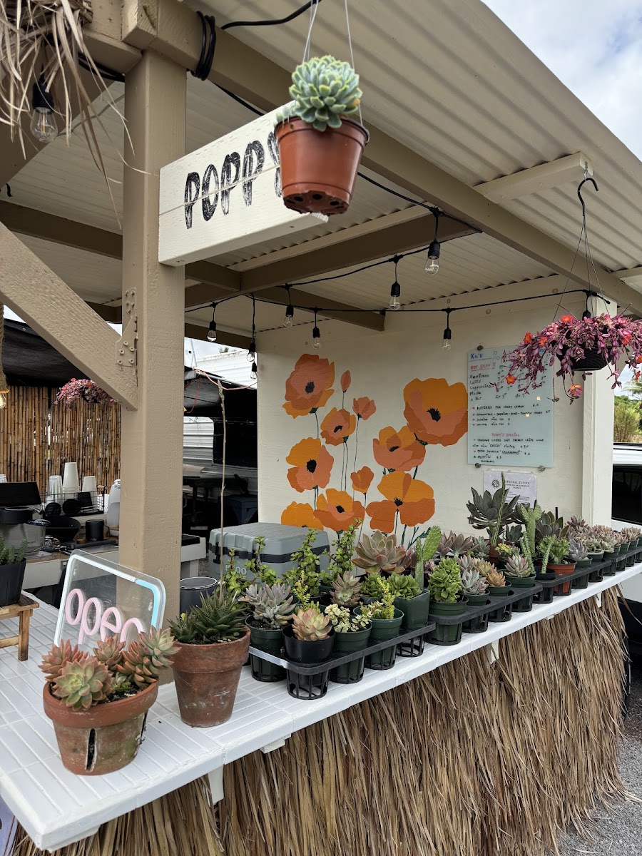 Poppy's