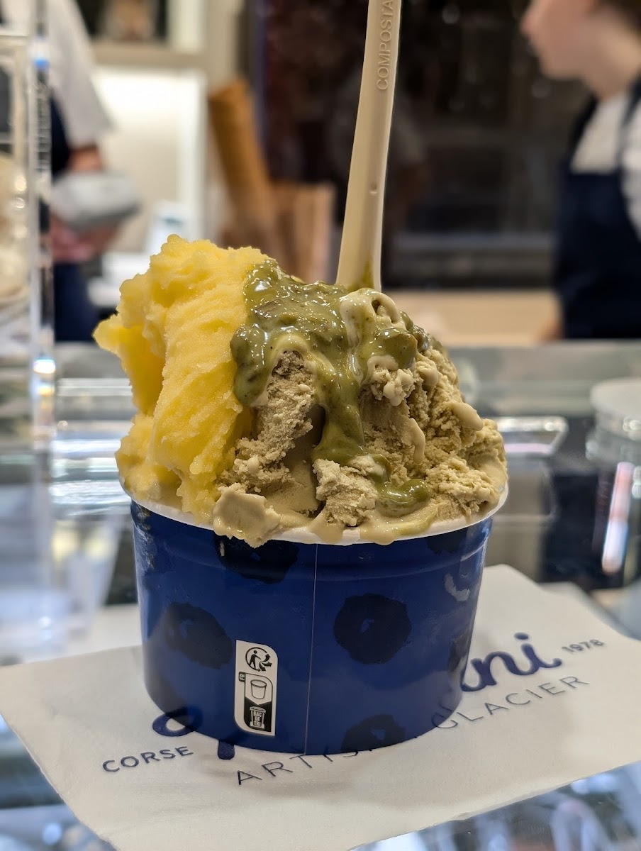 Milani Artisan Glacier - Calvi Photo 3