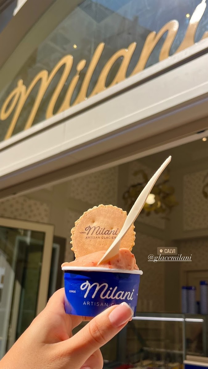 Milani Artisan Glacier - Calvi Photo 8