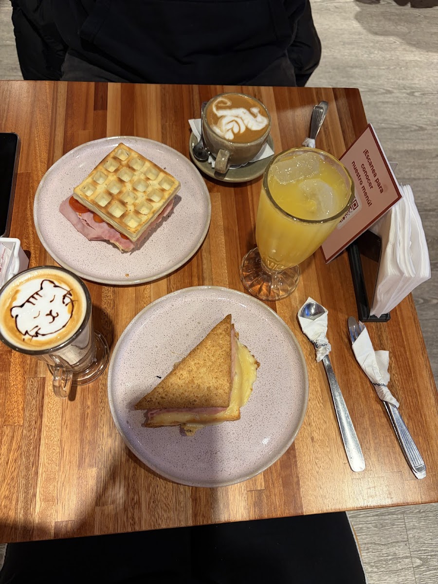 Cotta Cafe Photo 8