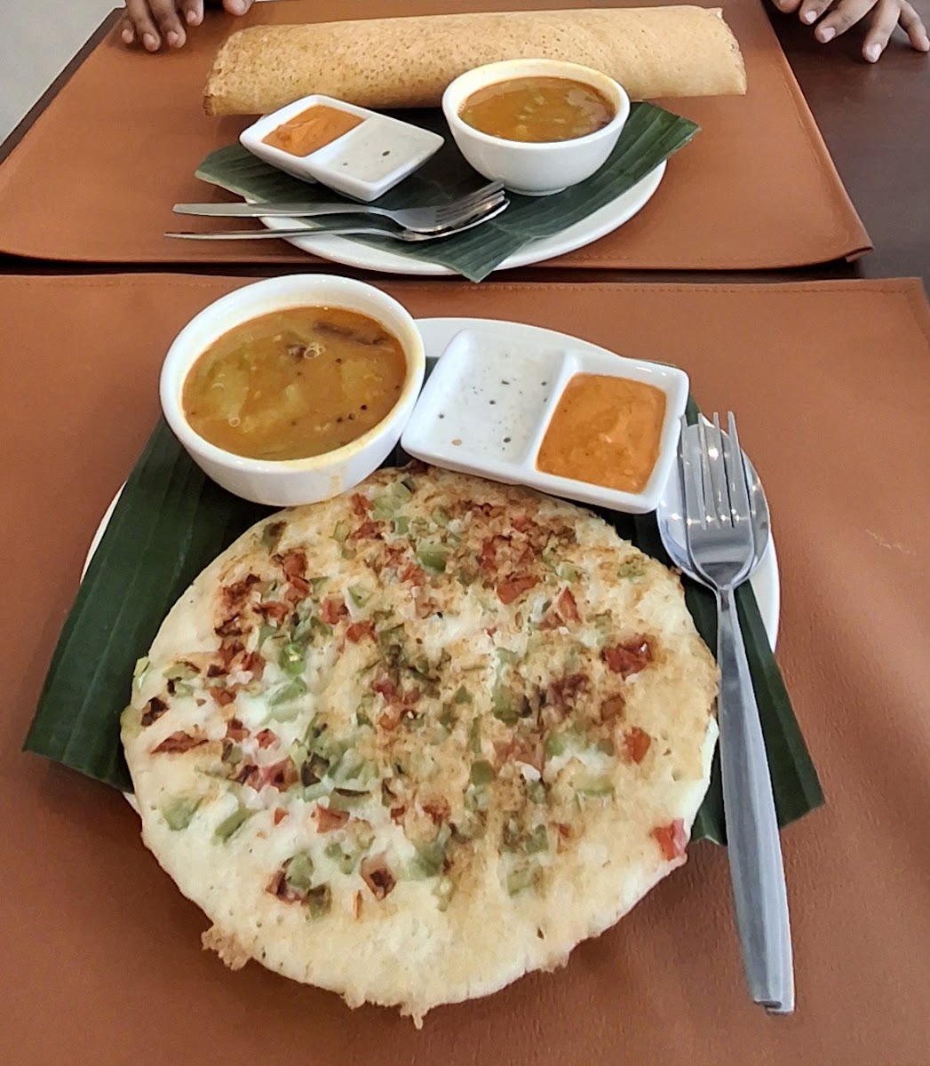 Pure Vegetarian Dosa Kitchen Photo 9