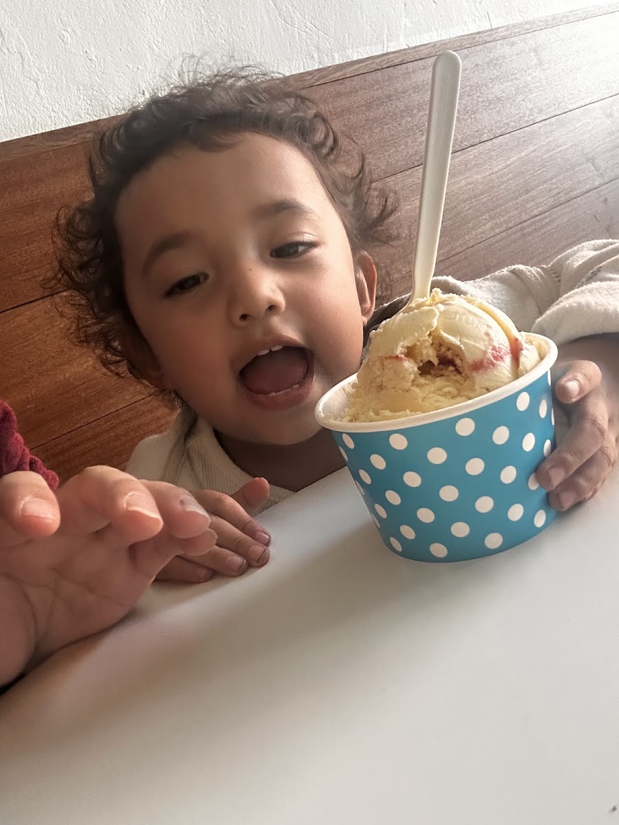 St. Francis Ice Cream Photo 6