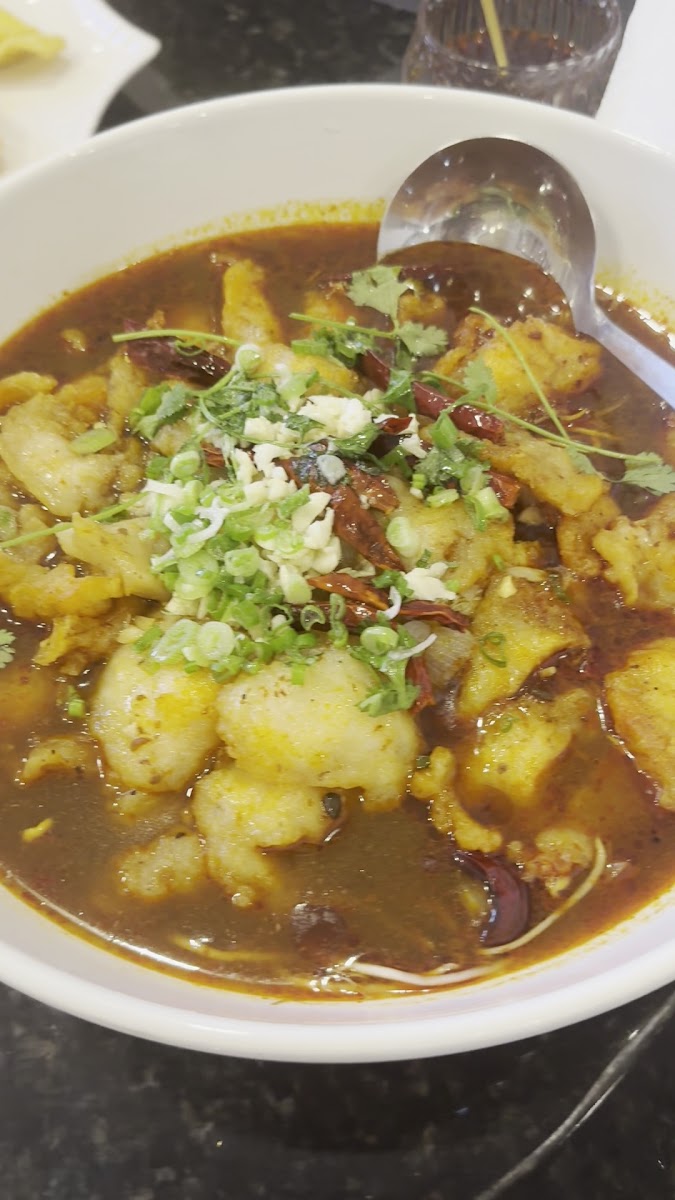 Hot Spicy China Food Photo 2