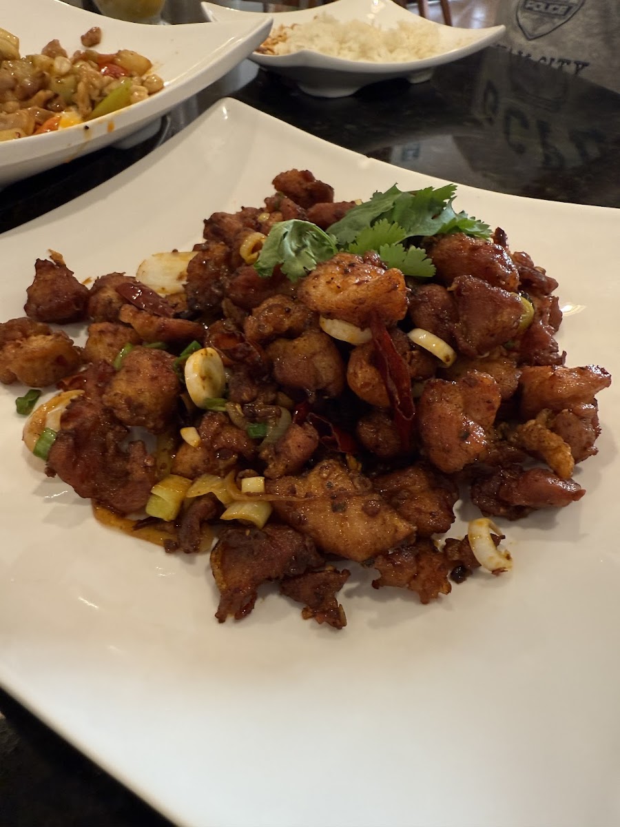 Hot Spicy China Food Photo 6