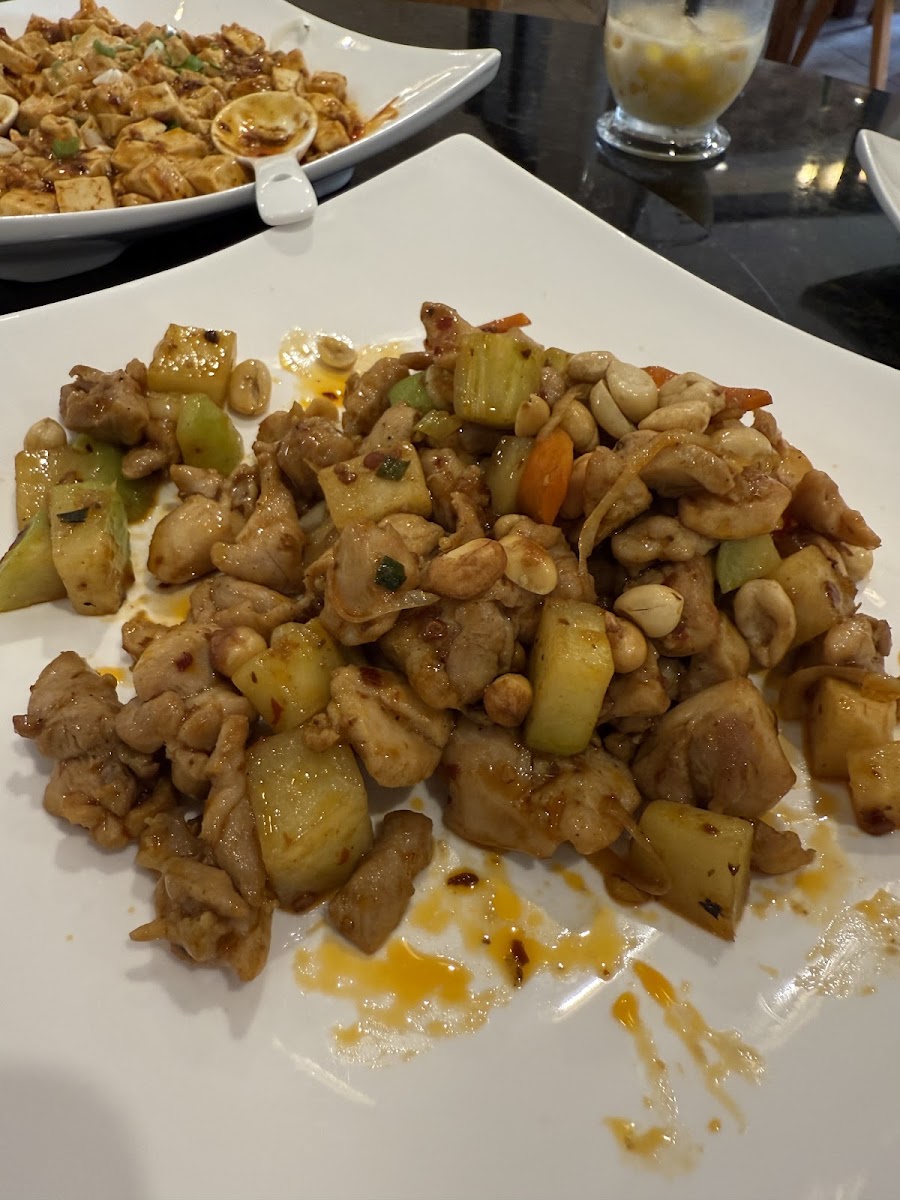 Hot Spicy China Food Photo 8