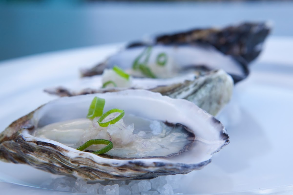 Ocean Restaurant and Bar - Blue Bay Photo 3