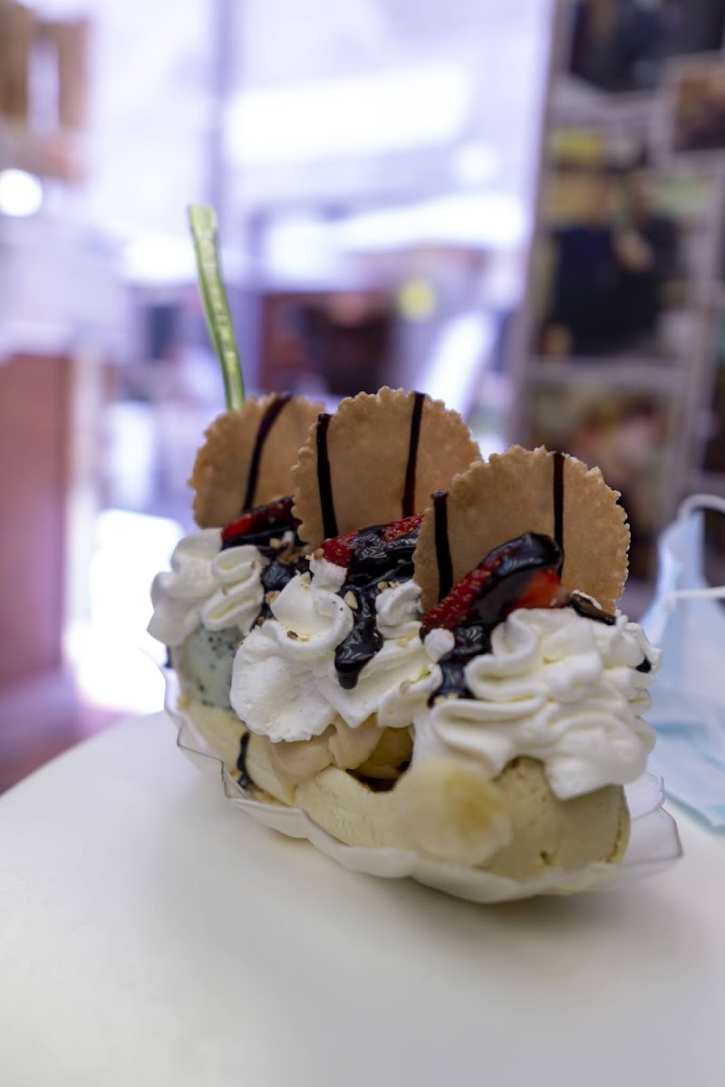 Quinto Gelateria Photo 10