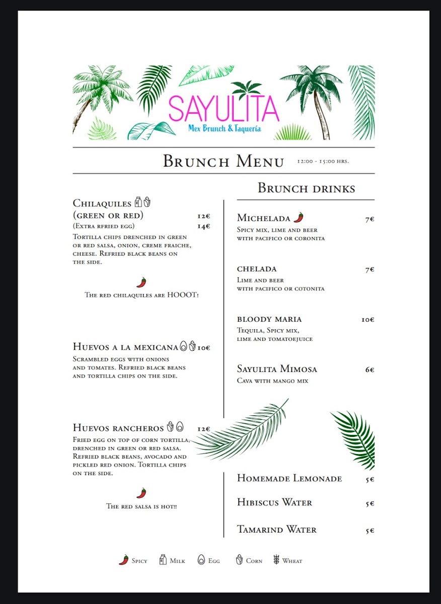 SAYULITA Photo Menu 10