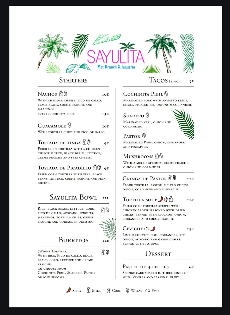 SAYULITA Photo Menu 9