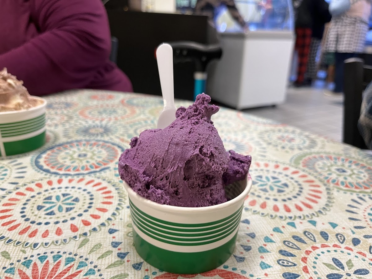 Mona Lisa's Gelato & Cafe Photo 2