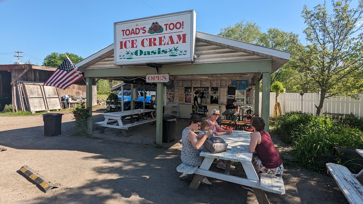 Toad's Too Ice Cream Oasis